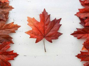 Canada Day 2018 Hours